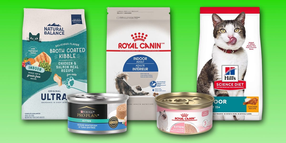 A selection of premium cat food options for indoor and kitten nutrition.