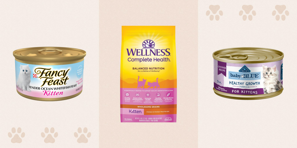 Premium kitten food options for a healthy start.