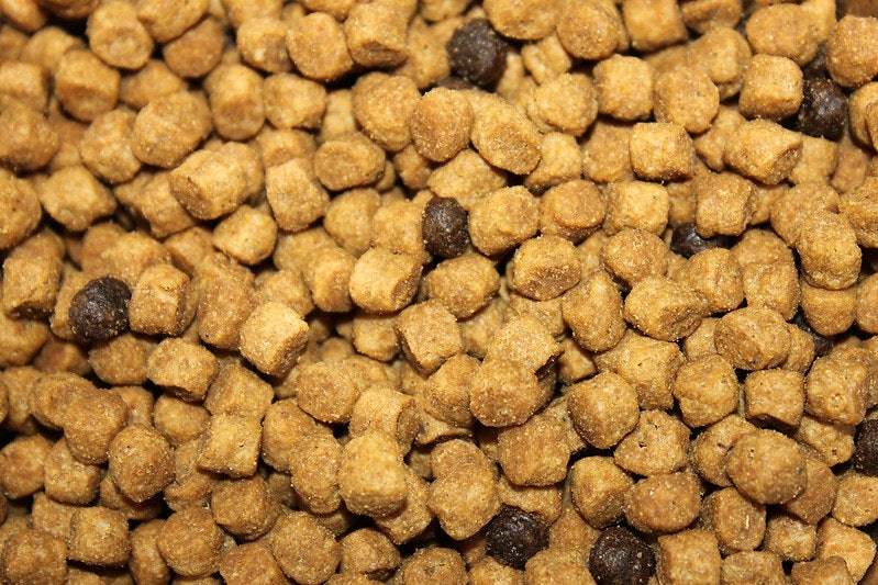 A close-up of crunchy pet food pellets, perfect for your furry friends.