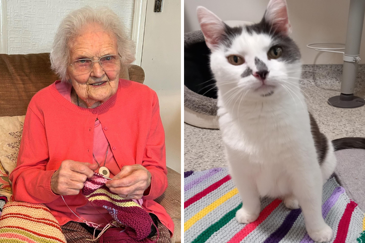 A heartwarming duo: a crafty grandmother and her curious feline companion.