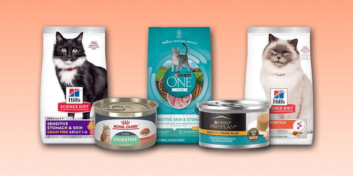 A selection of premium cat food options for sensitive digestion and nutrition.