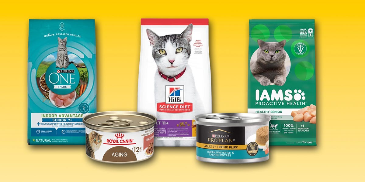 Healthy options for senior cats, ensuring they thrive in their golden years.